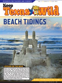 Cover-Beach Tidings