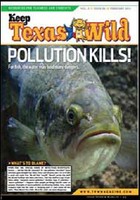 Cover-Freddie the Fish Cover-Freddie the Fish