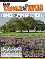 Cover-Hometown Greenery