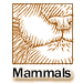 Mammals