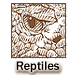 Reptiles