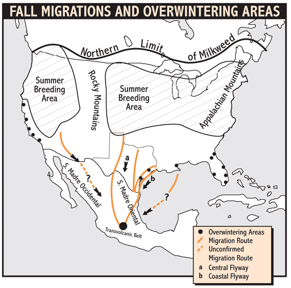 Fall migrations and overwintering areas