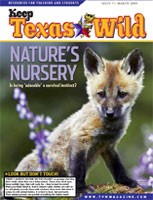 Cover-nature's nursery