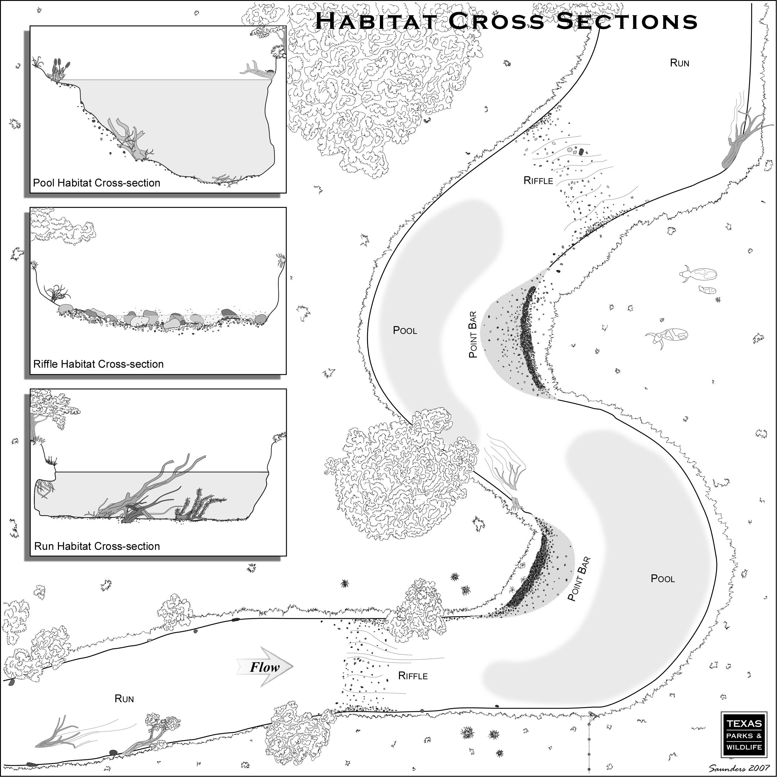 Anatomy Of A River Habitats 7666