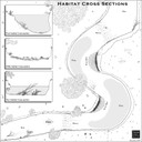 Anatomy of a River - Habitats
