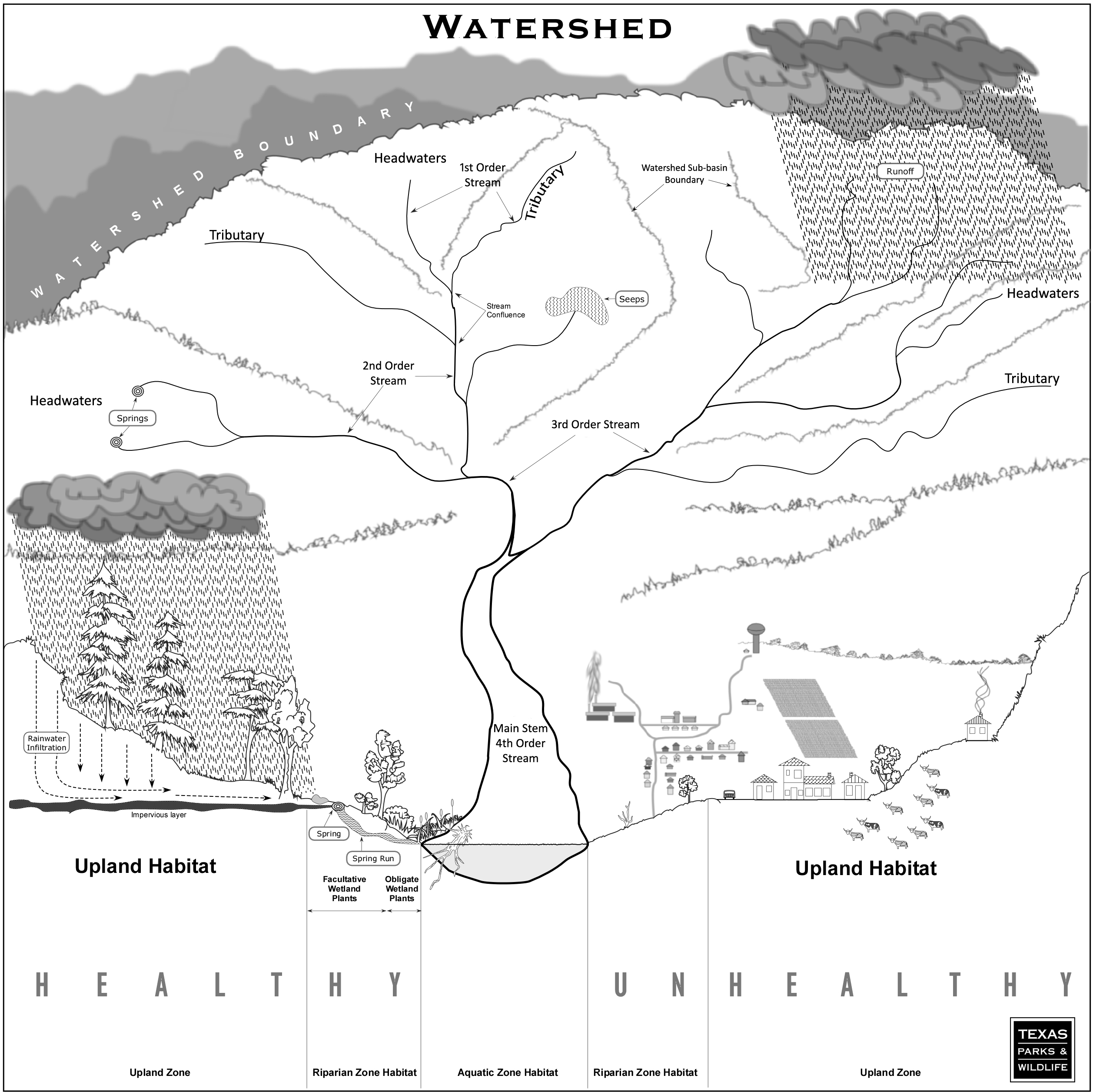 Anatomy of a River - Watershed