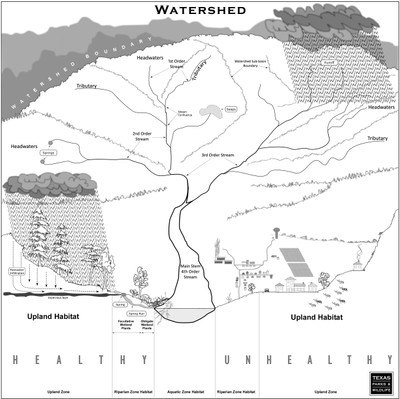 Anatomy of a River - Watershed