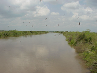 River Lower Course