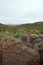 Big Bend Ranch State Park