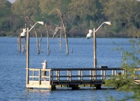 Purtis Creek Pier