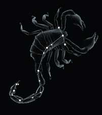 Scorpius
