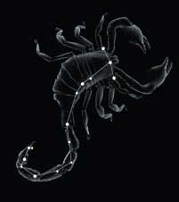 Scorpius
