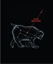 Ursa Major Chart