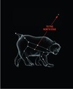 Ursa Major Chart