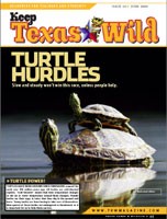 cover_turtles.jpg