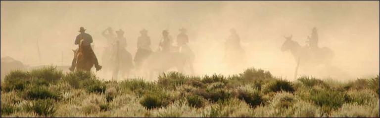 Deep Springs Cattle Drive