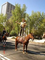 Vaquero Lasso