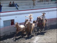 Vaquero Skills