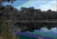 Big Thicket National Preserve