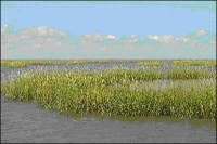 Coastal Wetlands Coastal Wetlands