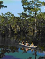 Freshwater Wetlands