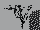 pondweed.gif pondweed.gif