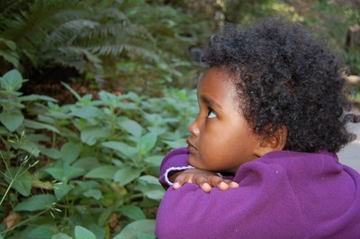Child observing in nature