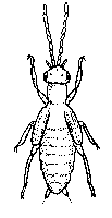 angelfly.gif
