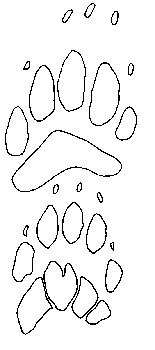 badgertrack.gif