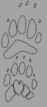 badgertrack.gif