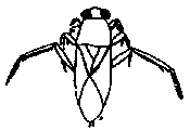 boatman.gif boatman.gif