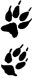 coyotetracks.gif