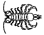 isopods.gif isopods.gif