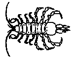 isopods.gif