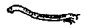 midgelarvae.gif midgelarvae.gif