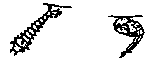 mosqlarvae.gif mosqlarvae.gif
