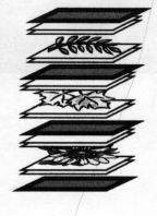 press3.gif