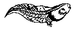 tadpole.gif tadpole.gif