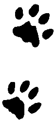 tracks3.gif
