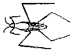 wstrider.gif wstrider.gif