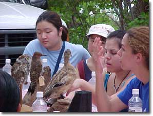 Girls with birds at Wildlife and Conservation Camps