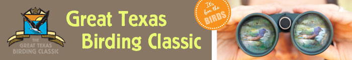 GTBC Header GTBC Header