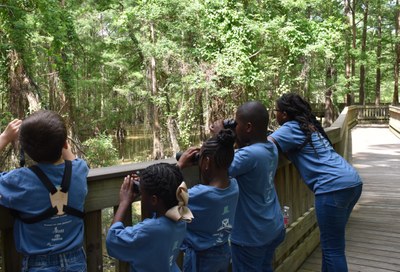 rutc_ChattyChickadees_birding.jpg Wetland Waders team