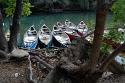 lady bird johnson lake boat rental