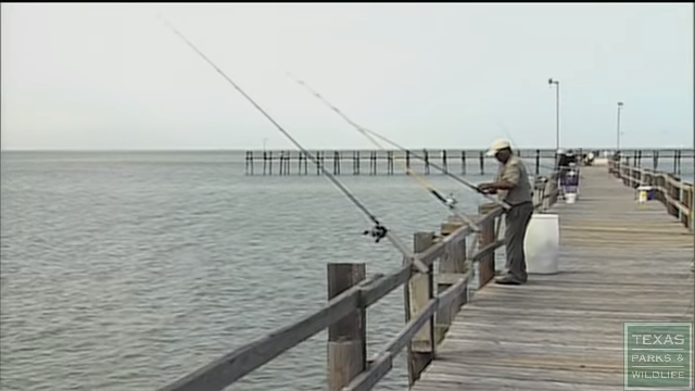 Fishing With Your Piers video