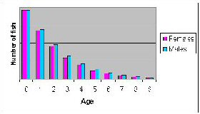 Figure 2a.  distribution of ages with light fishing pressure.