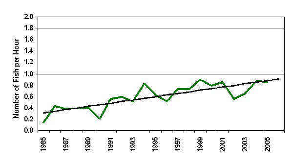 Figure 3. Spring gill net catches of spotted seatrout
for Upper Laguna Madre, 1985 to 2006