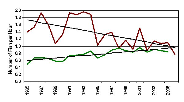 Figure 4. Spring gill net catches for spotted seatrout -  statewide
 summary and Lower Laguna Madre, 1985 to 2006