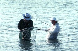fishing for flounder