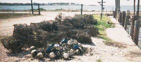 TPWD: Short reports: Derelicts Crab Traps